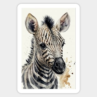 Cute Watercolor Zebra Baby Aesthetic Animal Art Painting Sticker